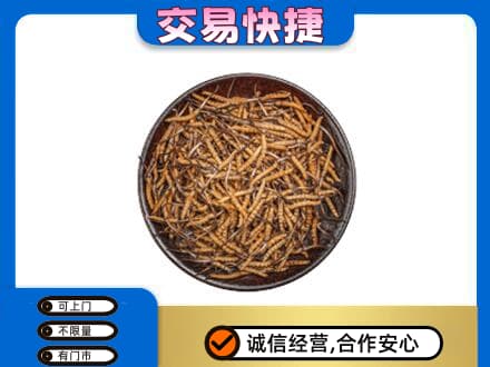 苍梧县礼品回收虫草.jpg